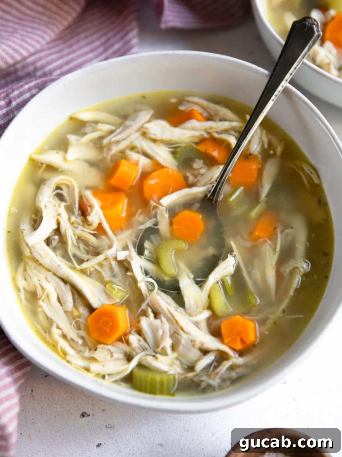 Budget-Friendly Feasts for a Crowd 4 A comforting bowl of chicken soup with tender chicken pieces, carrots, celery, and noodles, garnished with fresh parsley.
