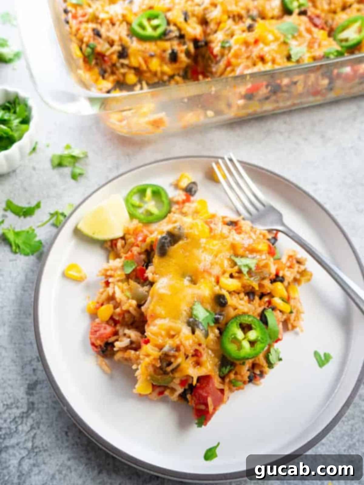 Budget-Friendly Feasts for a Crowd 8 A vibrant plate of vegetarian Mexican casserole, rich with melted cheese, rice, and beans, garnished with fresh cilantro.