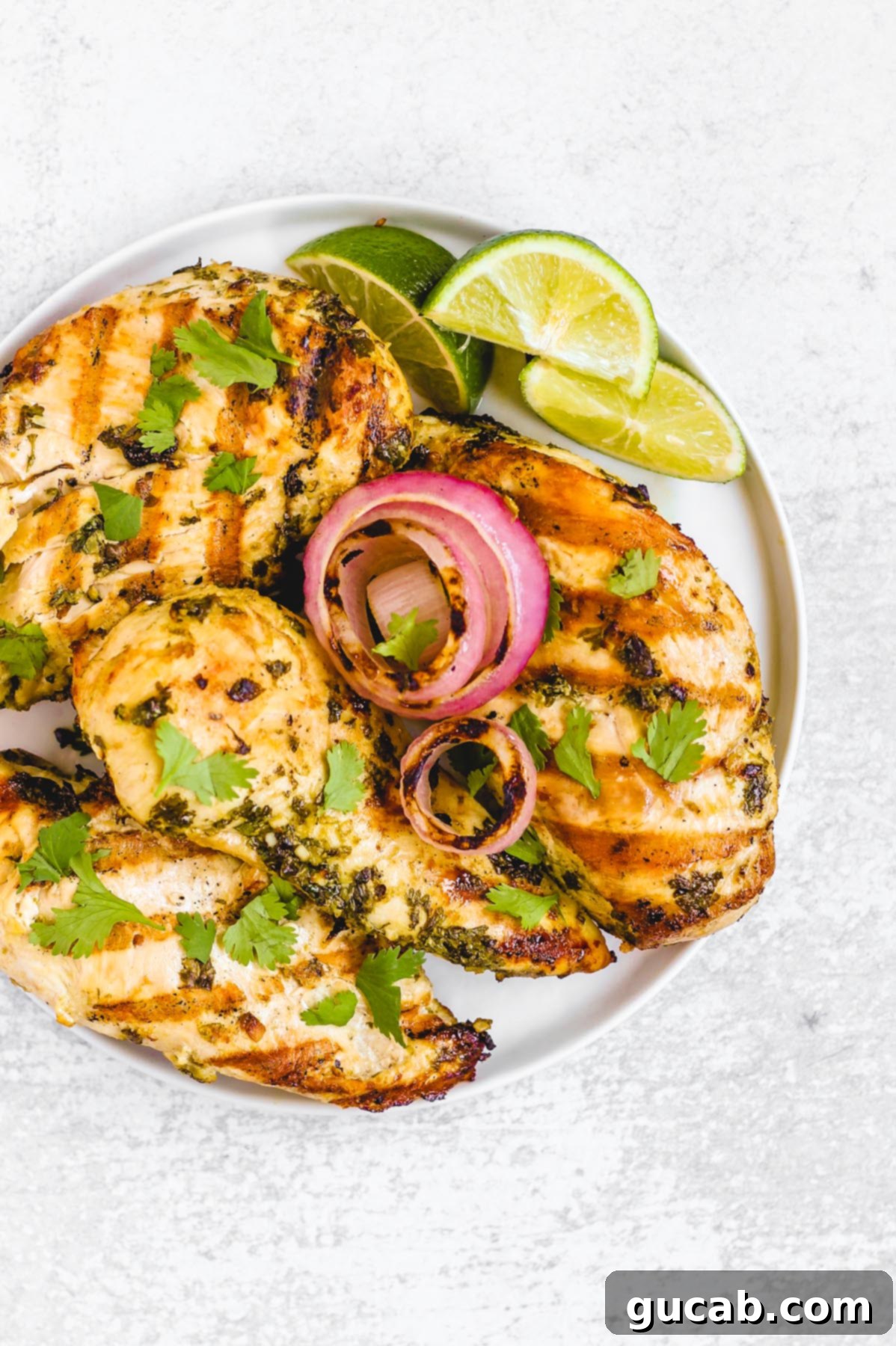 Budget-Friendly Feasts for a Crowd 10 A vibrant plate of grilled cilantro lime chicken, perfectly cooked and garnished with fresh cilantro.