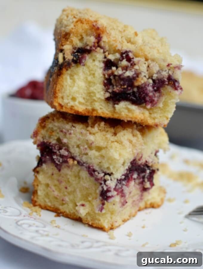 delicious gluten free coffee cake with berry swirl
