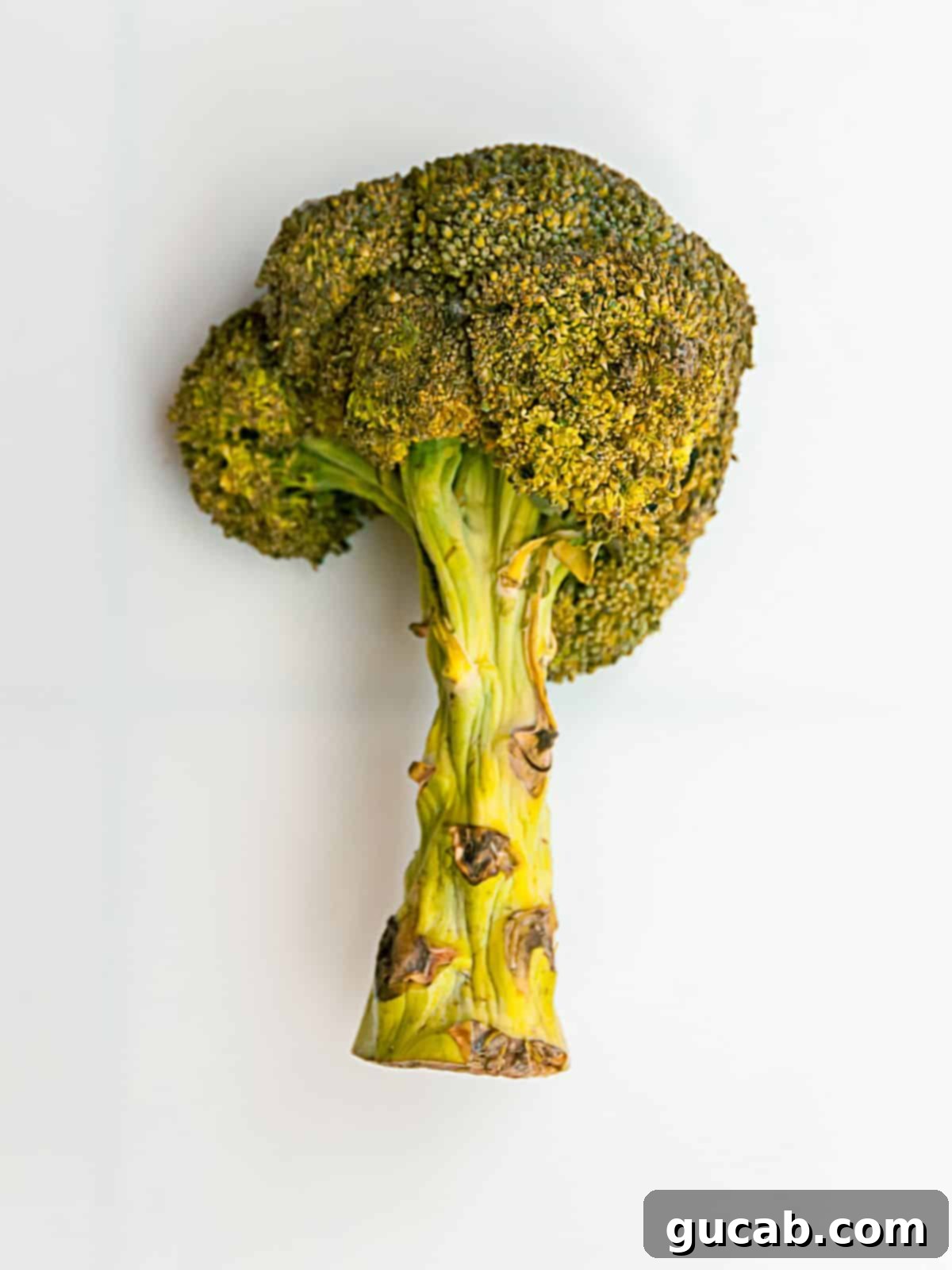A head of yellow broccoli, indicating age and potential spoilage.