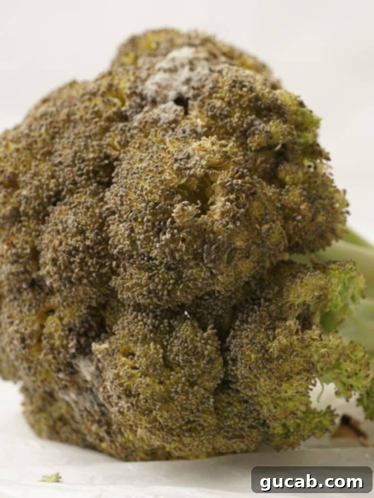 A head of yellowish broccoli with some green, indicating early stages of aging.