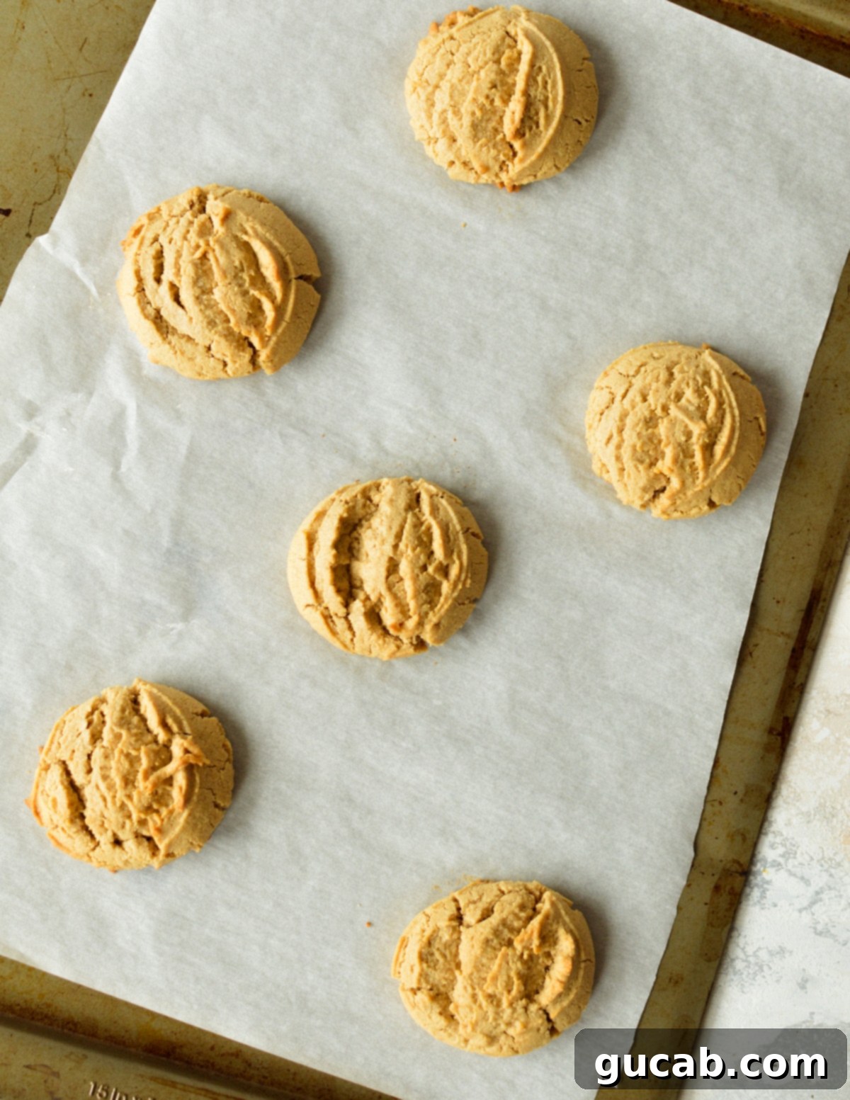 freshly baked peanut butter cookies on a sheet pan, with golden edges.