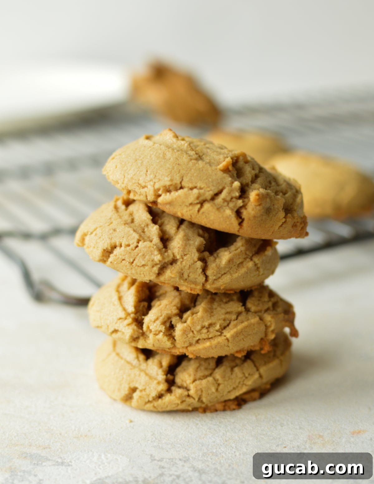 a stack of oat flour cookies with peanut butter, drizzled with chocolate.