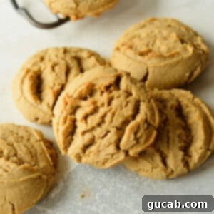 oat flour peanut butter cookies