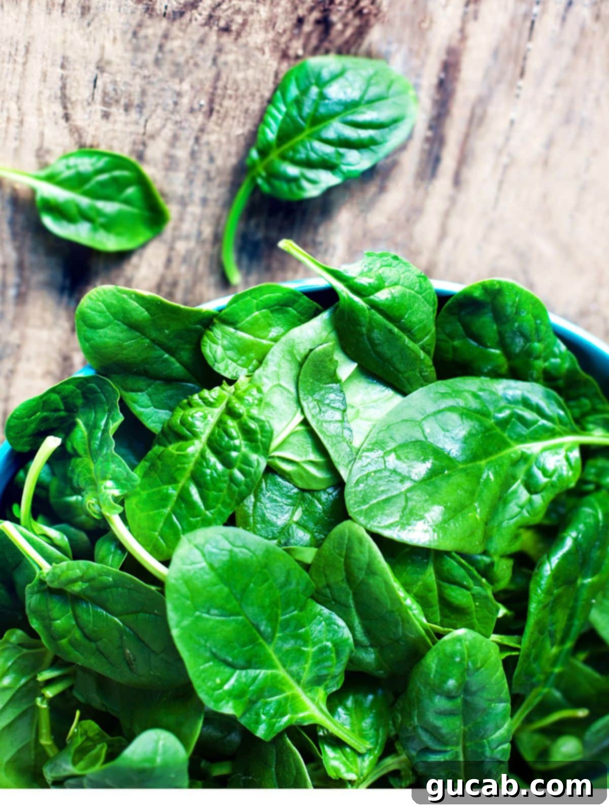 a bowl of fresh spinach. 
