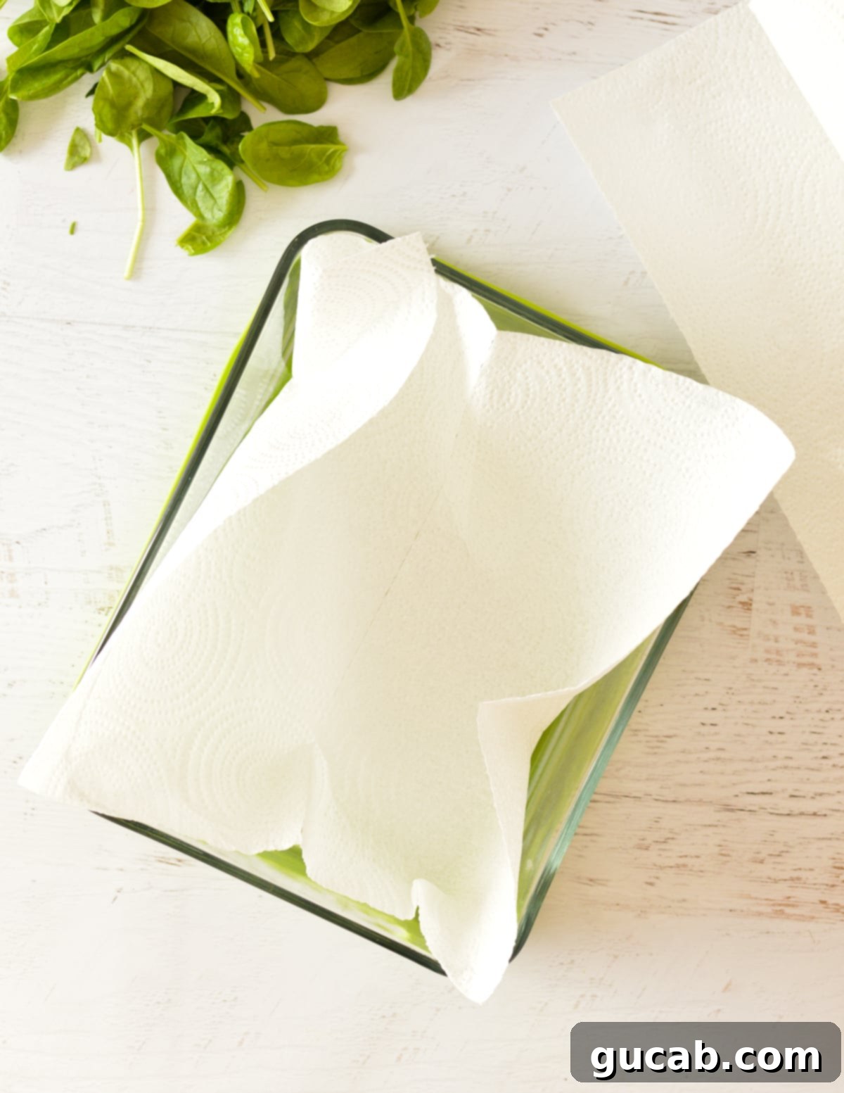 paper towel in a container.
