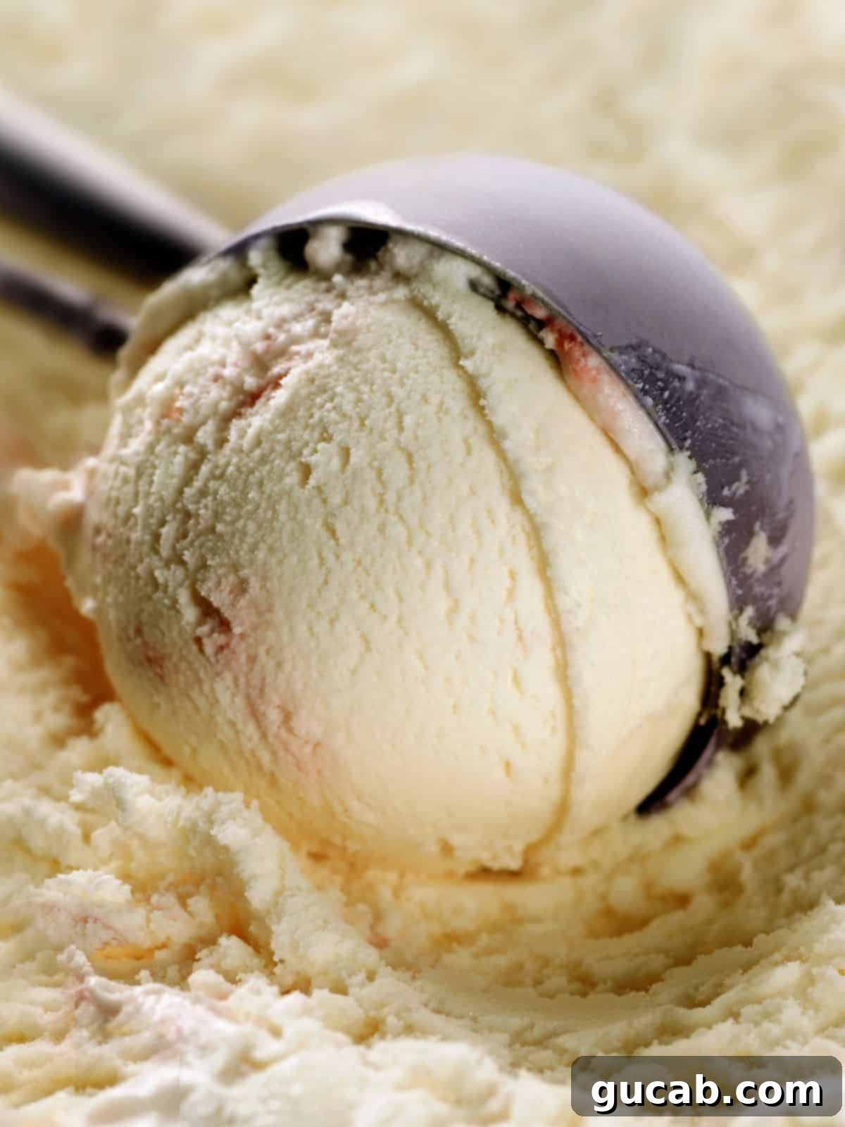 13 Nostalgic Ice Cream Maker Recipes 2 a scoop of vanilla ice cream.