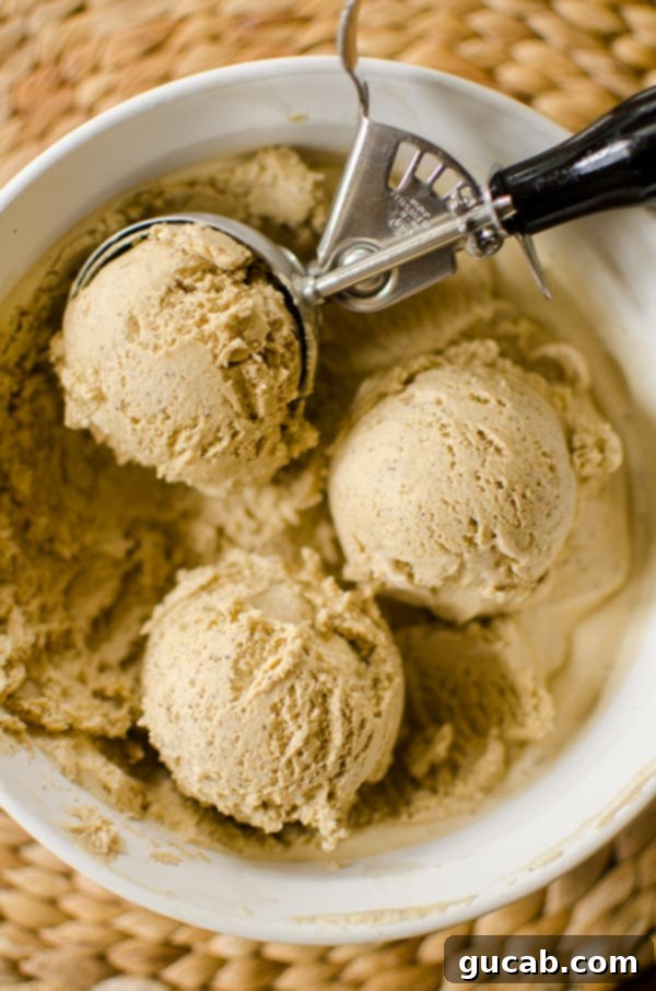 13 Nostalgic Ice Cream Maker Recipes 11 a bowl of coffee ice cream.