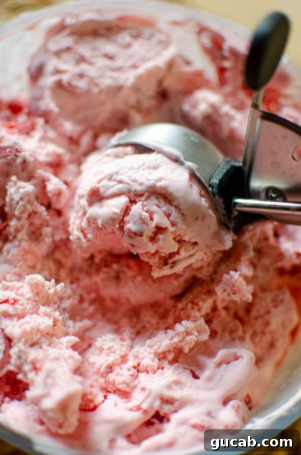 13 Nostalgic Ice Cream Maker Recipes 12 scoop of strawberry ice cream.