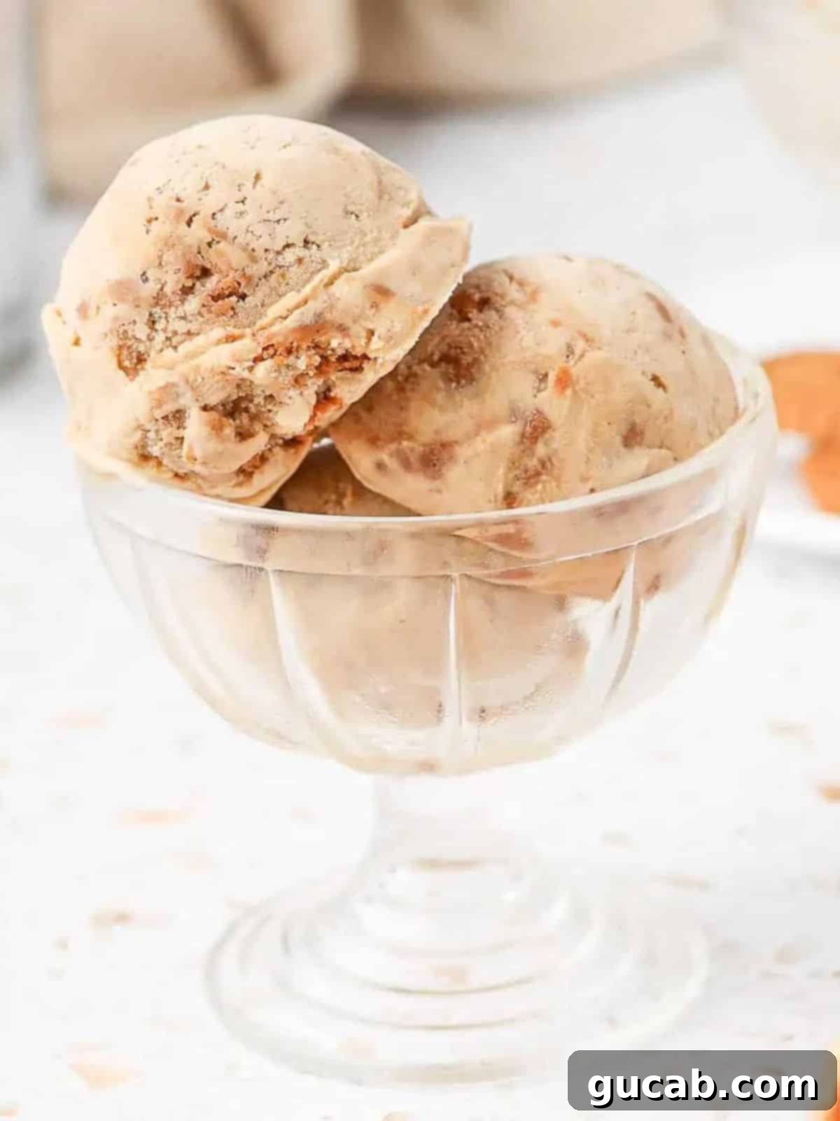 13 Nostalgic Ice Cream Maker Recipes 13 a bowl of biscoff ice cream