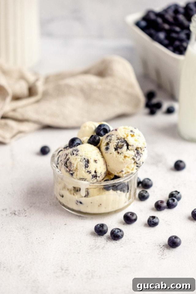 13 Nostalgic Ice Cream Maker Recipes 15 a bowl of blueberry cheesecake ice cream.
