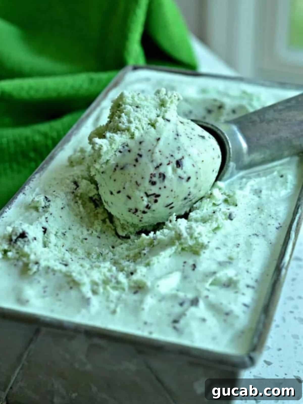 13 Nostalgic Ice Cream Maker Recipes 6 a scoop of mint chocolate chip ice cream.