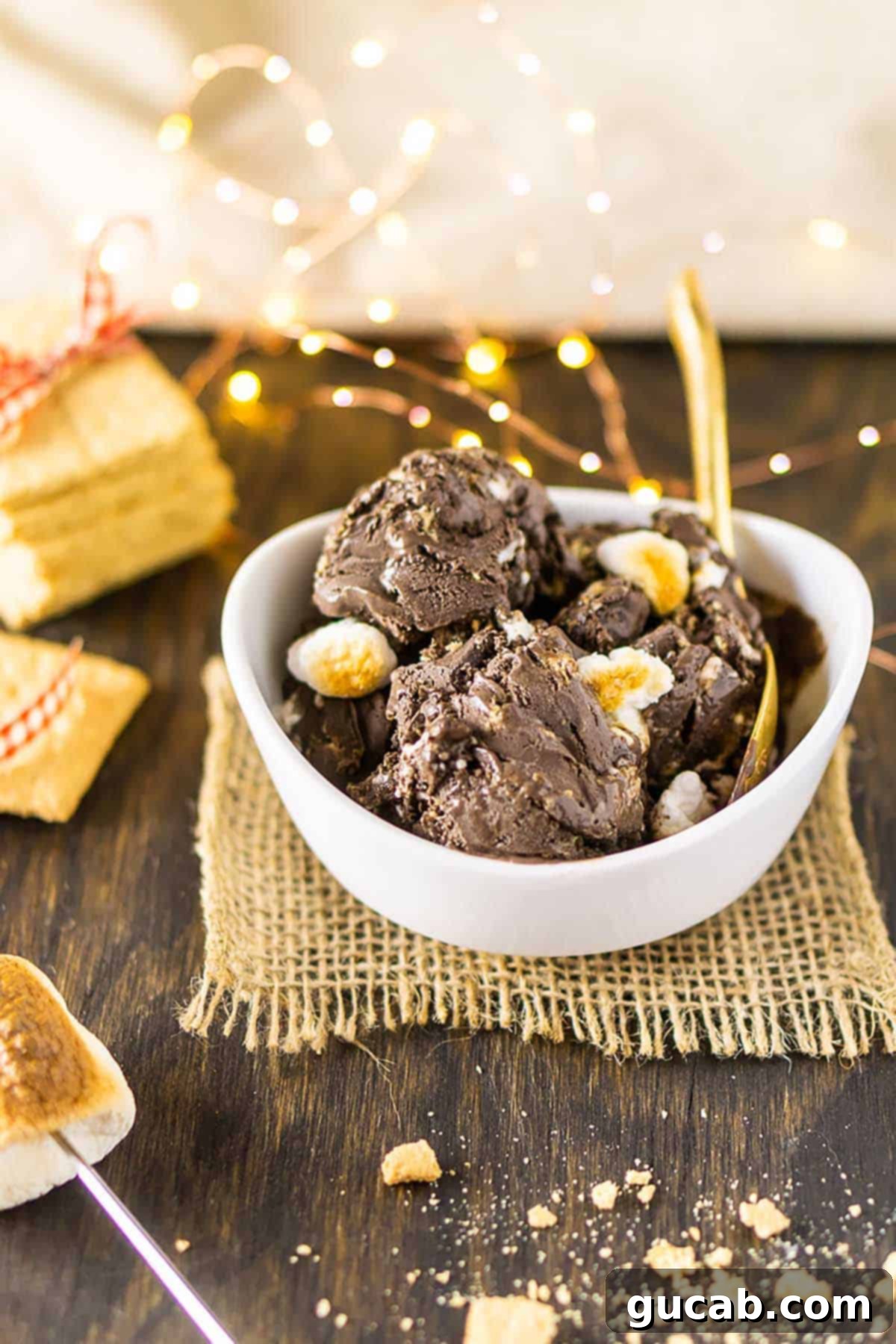 13 Nostalgic Ice Cream Maker Recipes 7 smores ice cream in a bowl with toasted marshmallows.