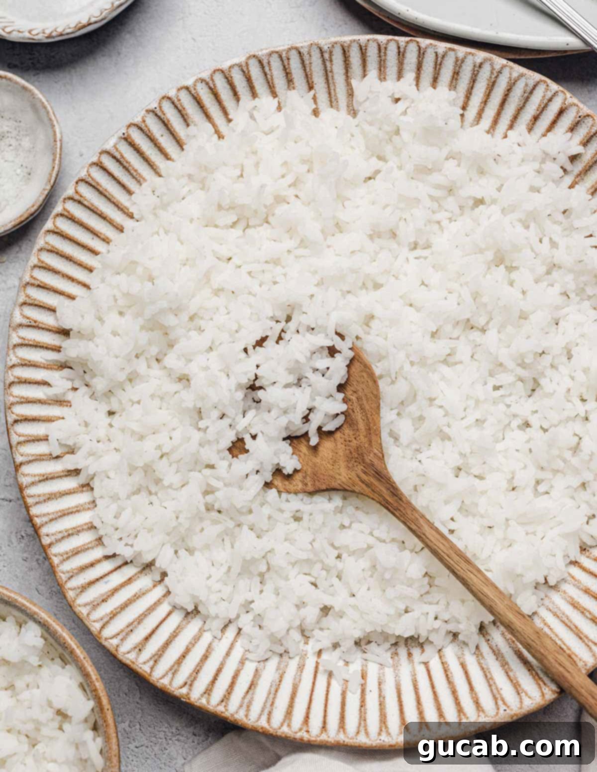 A beautifully presented bowl of fluffy white rice with a wooden spoon, ready to be served.