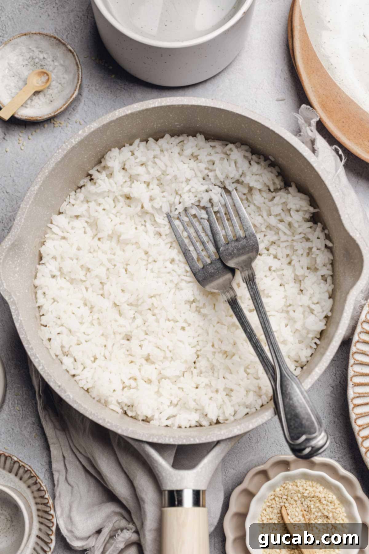 A saucepan filled with freshly cooked, fluffy white rice, with two forks gently fluffing the grains.
