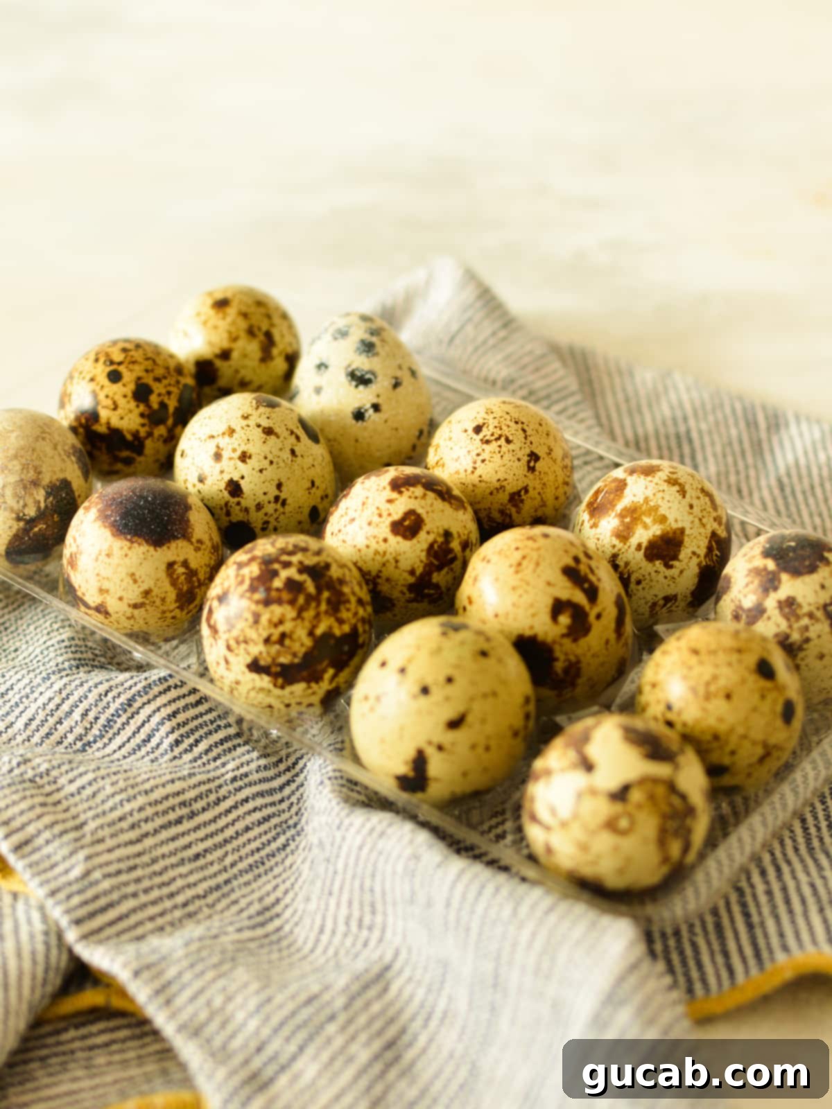 a container of quail eggs on a towel