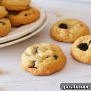 Delicious and vibrant dried cherry cookies ready to be enjoyed.