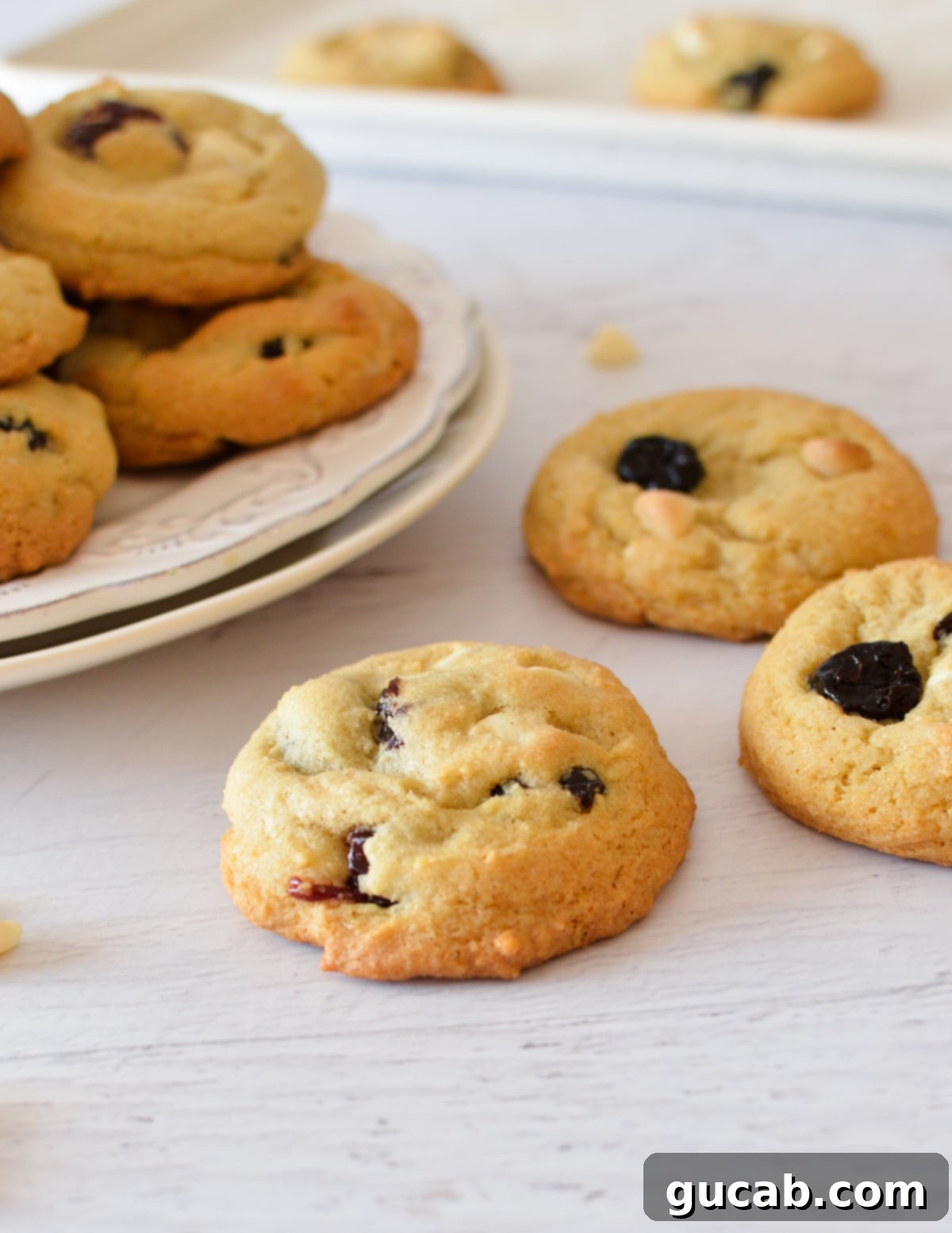 A single baked dried cherry cookie with visible dried cherries and melted white chocolate chips, showcasing its appealing texture.