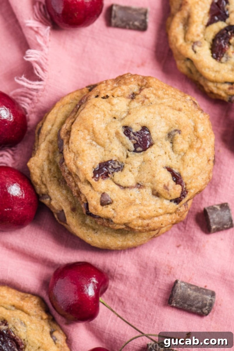 Delicious vegan cookies packed with dried cherries and chocolate chips, showcasing their soft texture.