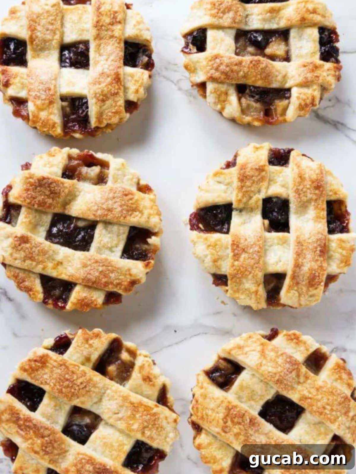 Elegant individual dried cherry tarts with pears, showcasing their delicate crust and juicy filling.