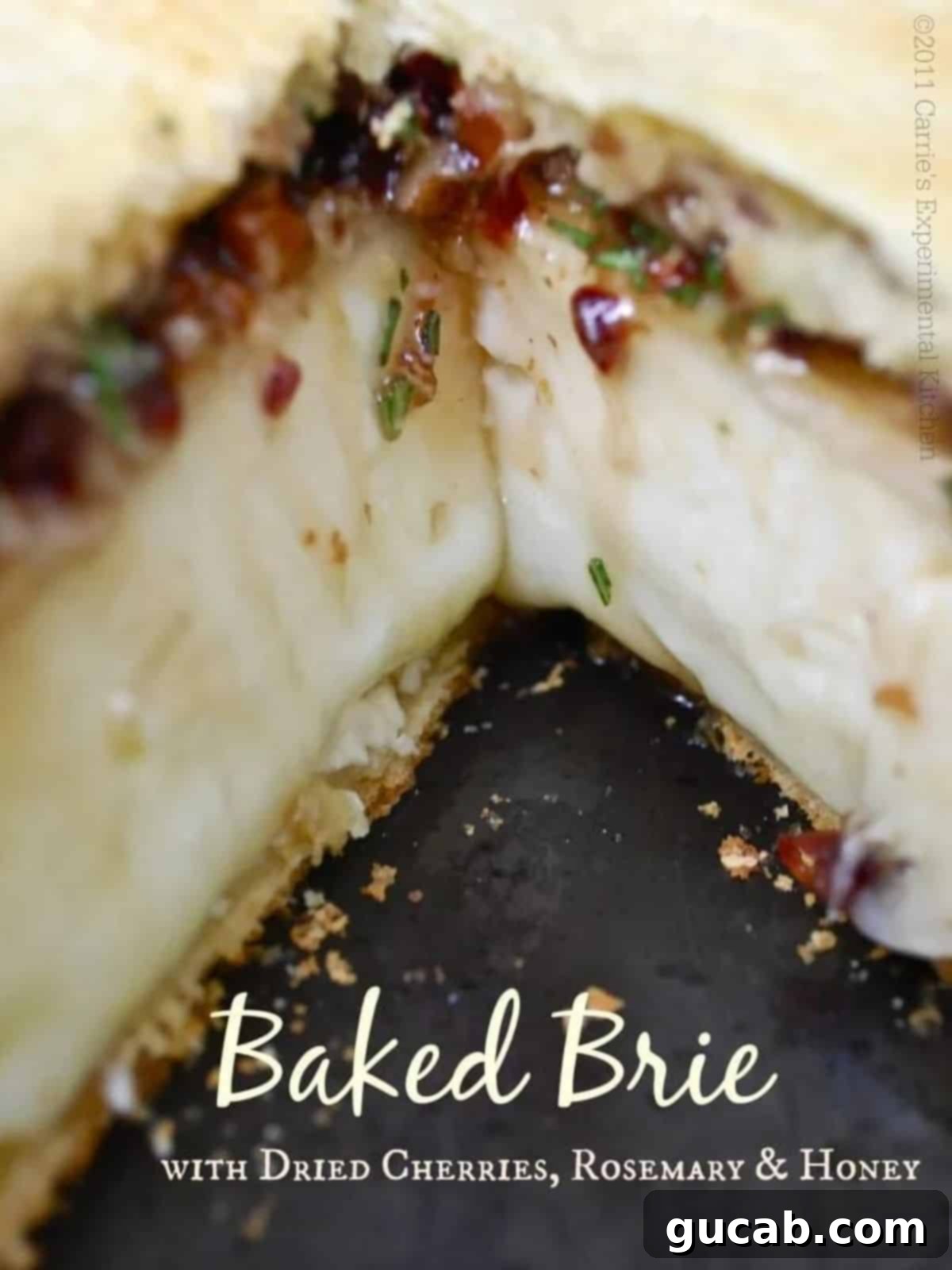 Warm, oozing baked brie cheese wrapped in pastry, topped with dried cherries, rosemary, and pecans.