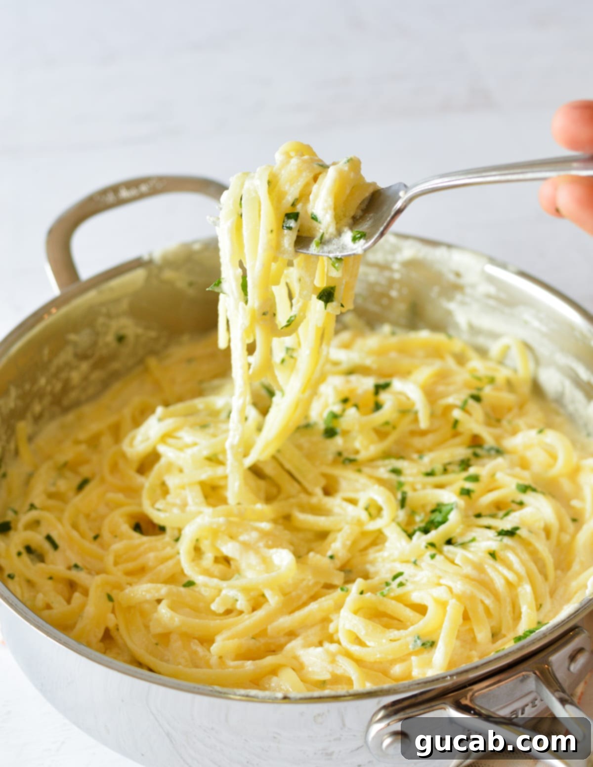 a skillet with fettucine alfredo.