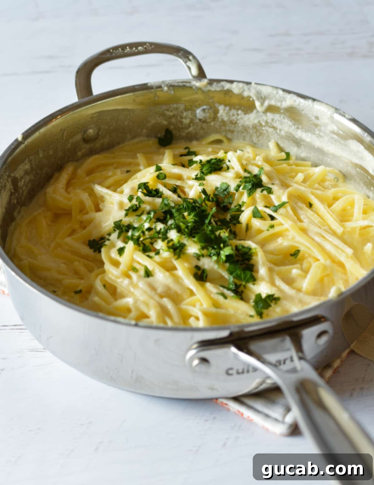 fettucine alfredo with parsley on top.