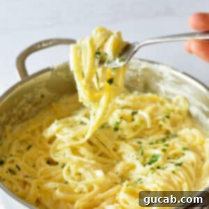 a forkful of fettucine alfredo.