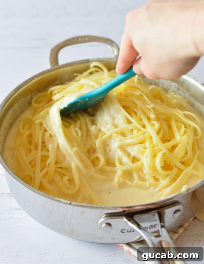 fettucine noodles in a skillet with alfredo sauce. 