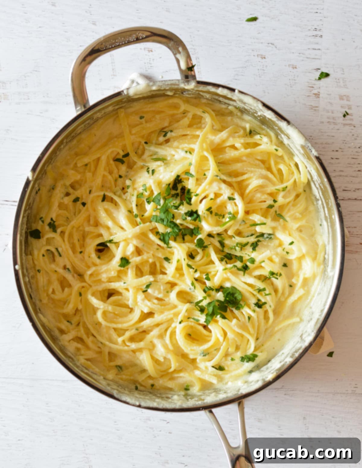 fettucine alfredo in a skillet with parsley. 