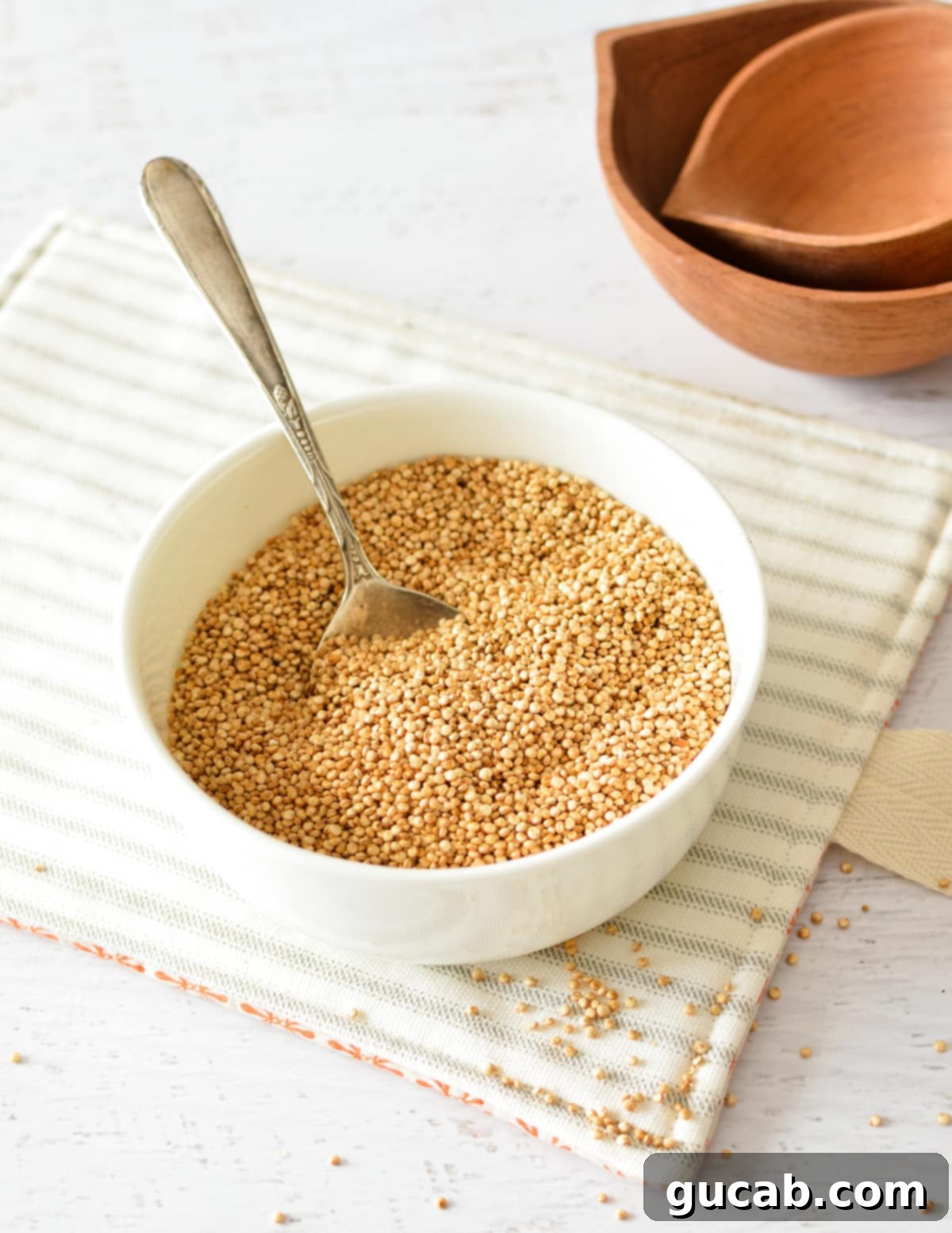 A bowl of perfectly puffed quinoa, ready to be enjoyed as a healthy snack or topping.