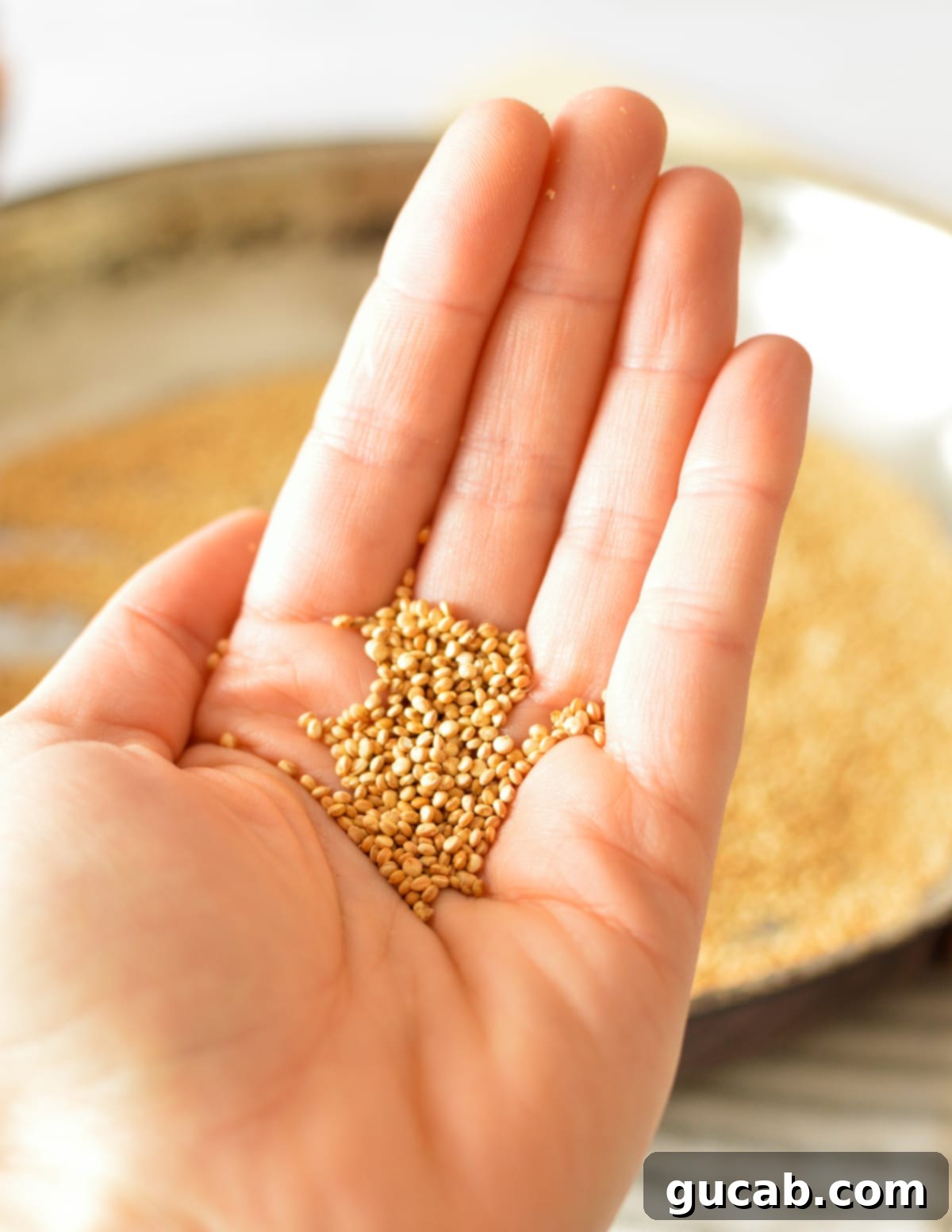 A handful of freshly puffed quinoa, showcasing its light and airy texture.