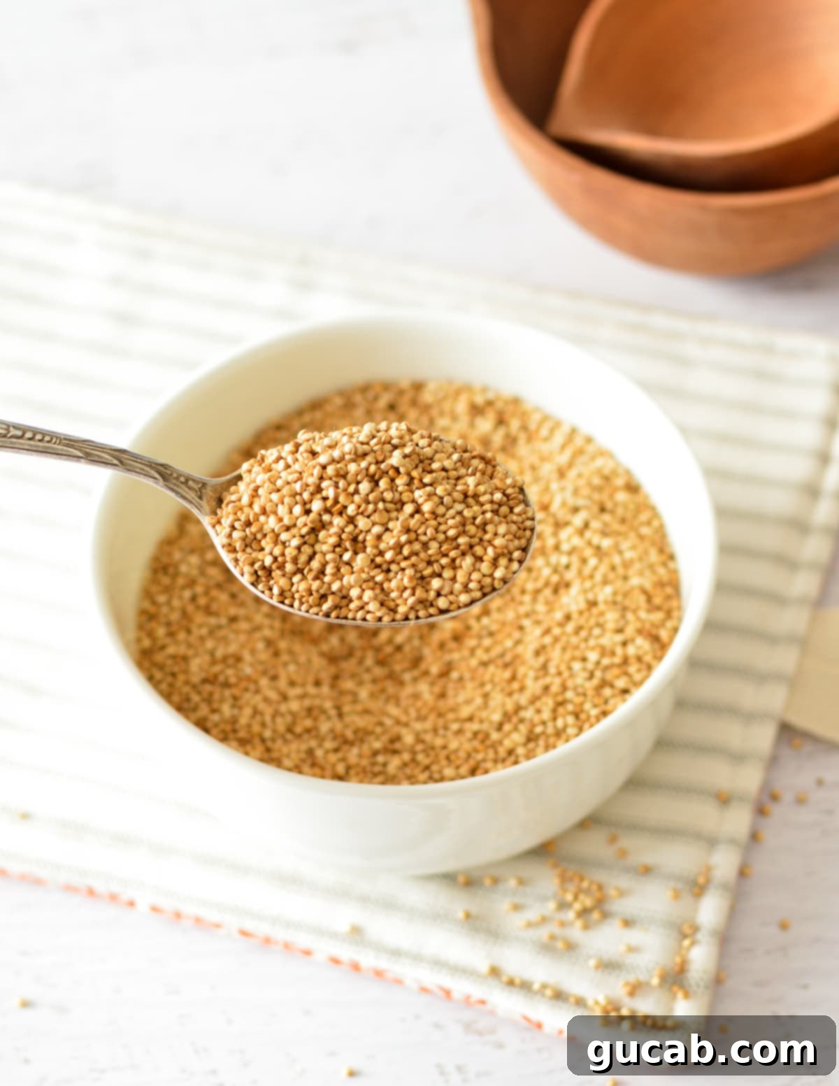 A spoonful of freshly popped quinoa, showcasing its light and delicate texture.