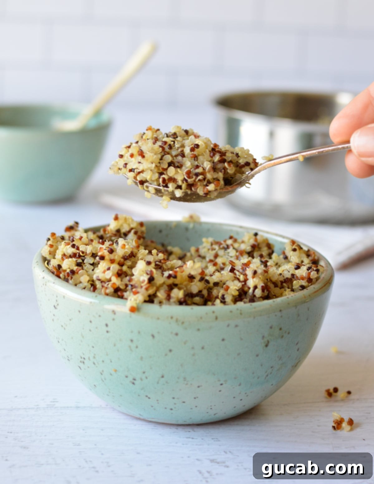 Perfect Tri-Color Quinoa Every Time 2 a bowl of cooked tri-color quinoa.