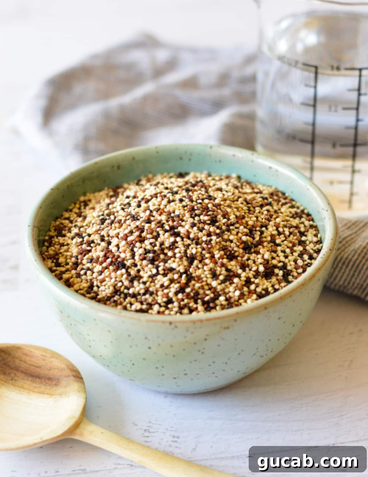 Perfect Tri-Color Quinoa Every Time 3 a bowl of multi colored quinoa seeds.