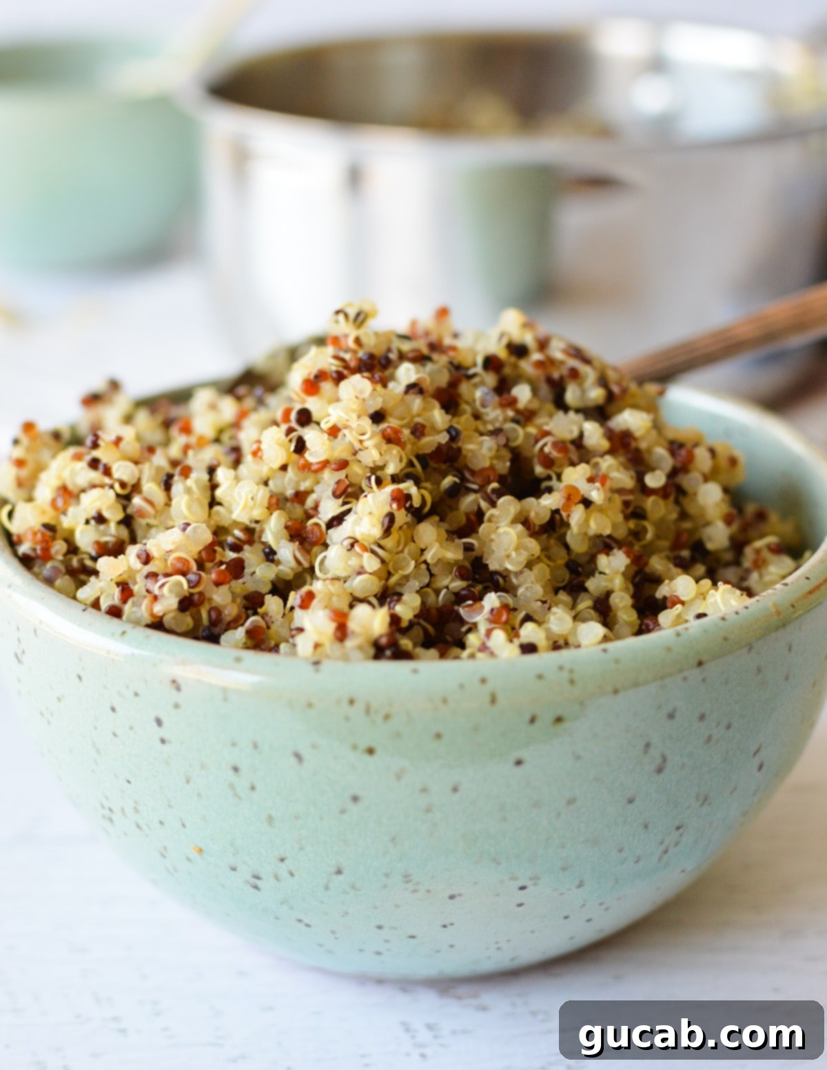 Perfect Tri-Color Quinoa Every Time 7 a bowl of cooked tri-color quinoa.