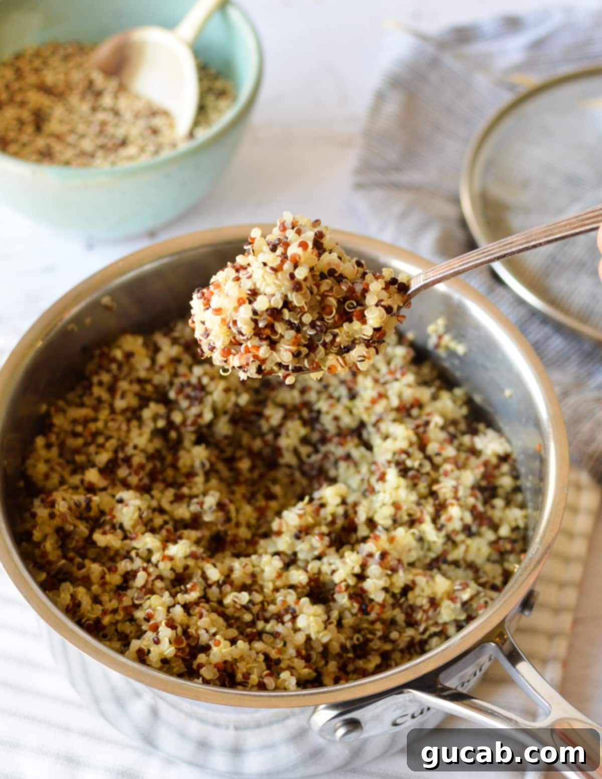 Perfect Tri-Color Quinoa Every Time 8 a spoonful of cooked tri color quinoa