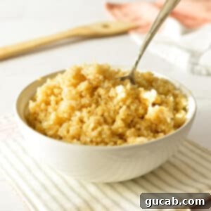 A beautifully presented bowl of fluffy brown rice and quinoa, garnished and ready to be enjoyed.