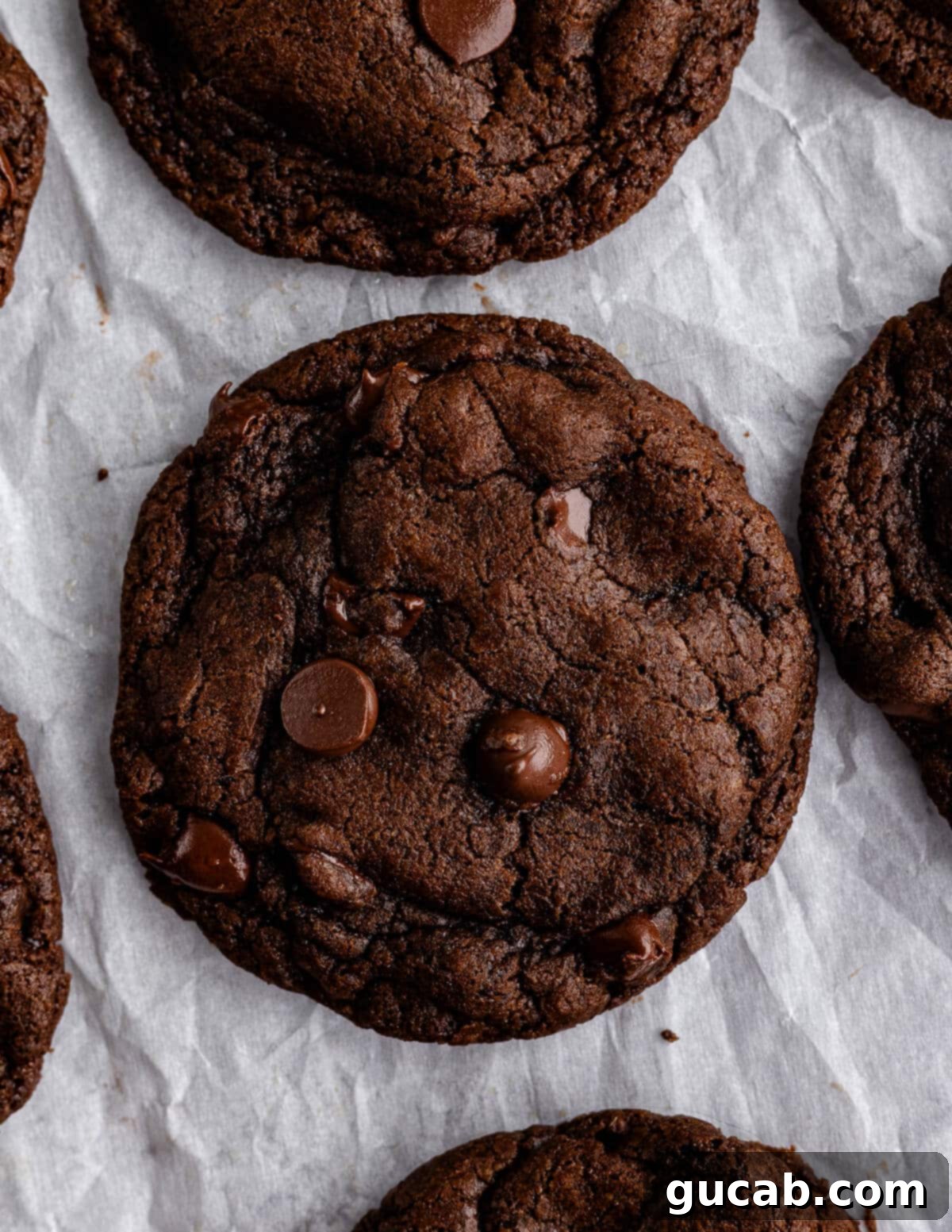 Decadent Gluten-Free Double Chocolate Delights 2 Close up of a gluten-free double chocolate cookie with a perfect crackled top and melted chocolate.