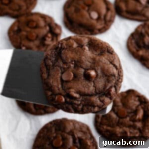 A spatula holding a delicious gluten-free double chocolate cookie, showcasing its rich texture and melted chocolate.
