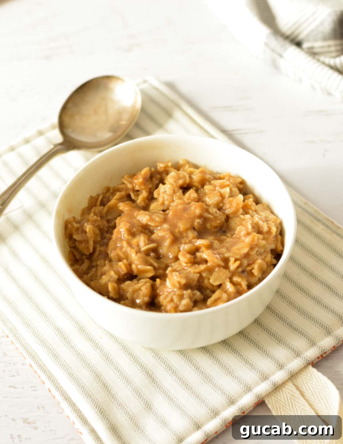 A beautifully presented bowl of brown sugar cinnamon oatmeal, garnished with a sprinkle of extra brown sugar and a dash of cinnamon, ready to be enjoyed.