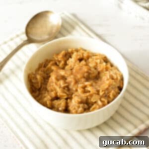 A bowl of rich brown sugar cinnamon oatmeal, ready to be served, highlighting its appealing texture and warmth.