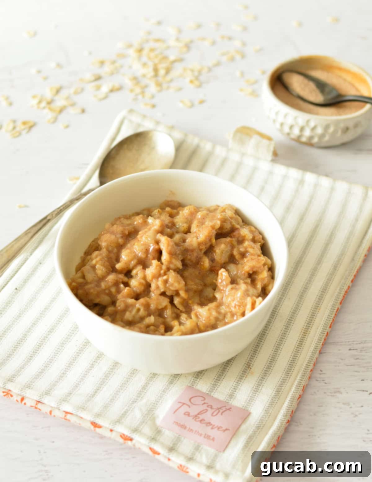 Cozy Cinnamon Oatmeal 2 A beautifully garnished bowl of creamy cinnamon oatmeal ready to be enjoyed.