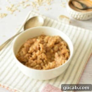 Cozy Cinnamon Oatmeal 11 A bowl of creamy cinnamon oatmeal, ready to be served and enjoyed for breakfast.
