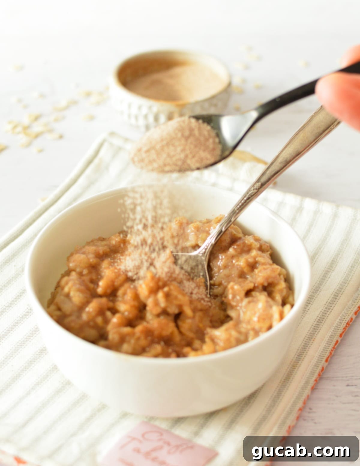 Cozy Cinnamon Oatmeal 9 Sprinkling cinnamon sugar over a bowl of freshly made cinnamon oatmeal for added flavor and visual appeal.