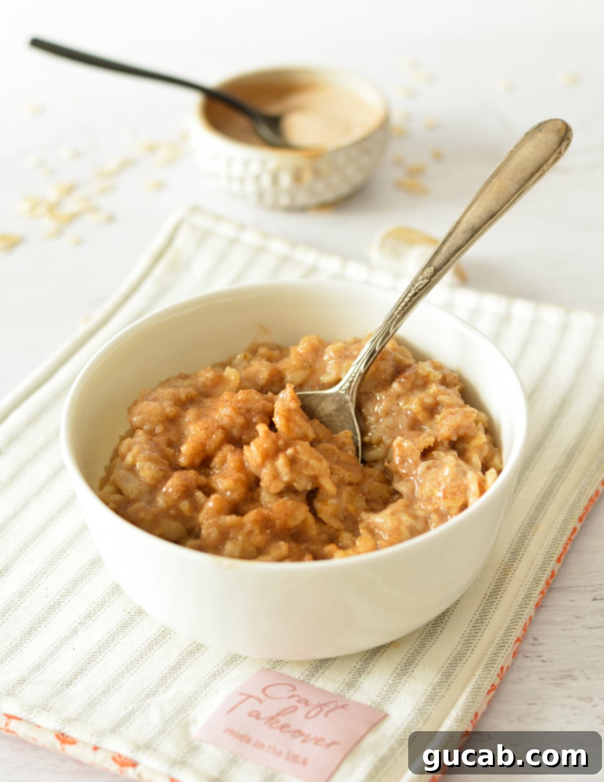 cinnamon oatmeal with a spoon in it. 
