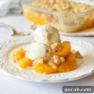 Pantry Peach Crisp Perfection 12 A baked peach crisp with a scoop of vanilla ice cream on top, ready to be served.