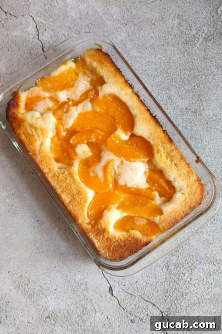 peach cobbler in a glass baking dish.