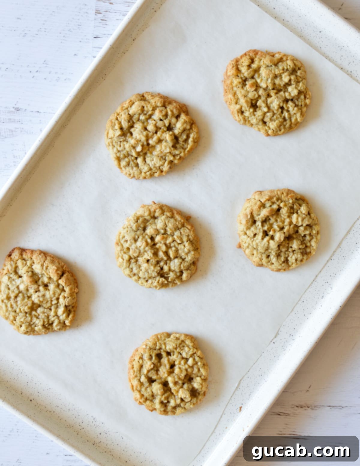 Soft and Chewy Oatmeal Bliss 11 freshly baked oatmeal cookies on a sheet pan